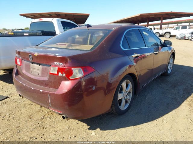 2009 ACURA TSX JH4CU26689C002310 Photo 3