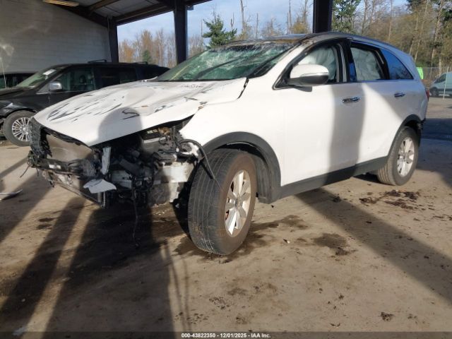 2020 KIA SORENTO 5XYPG4A35LG650239 Photo 1