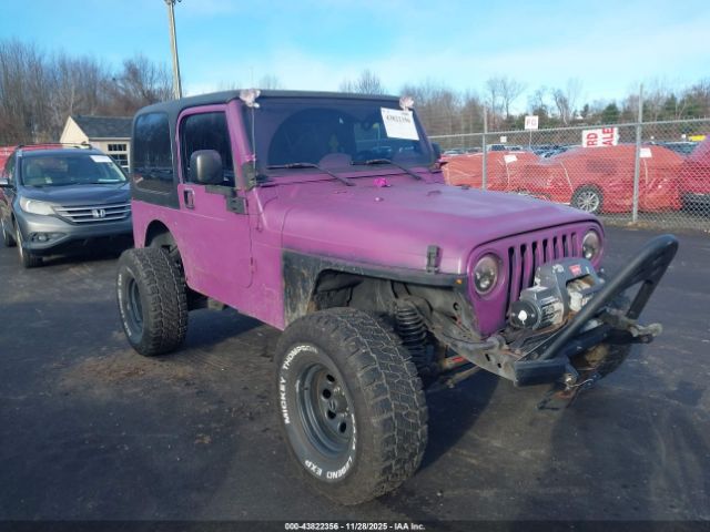 2003 JEEP WRANGLER 1J4FA49S93P364720