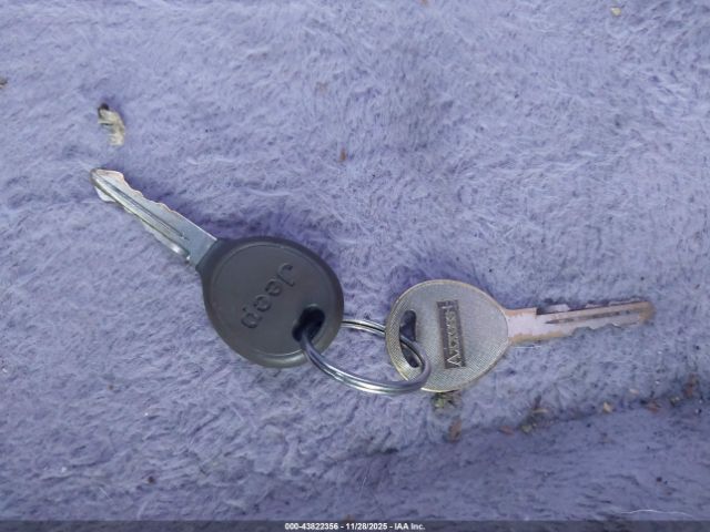 2003 JEEP WRANGLER 1J4FA49S93P364720 Photo 10