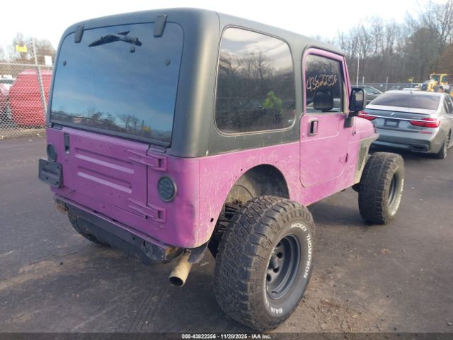 2003 JEEP WRANGLER 1J4FA49S93P364720 Photo 3