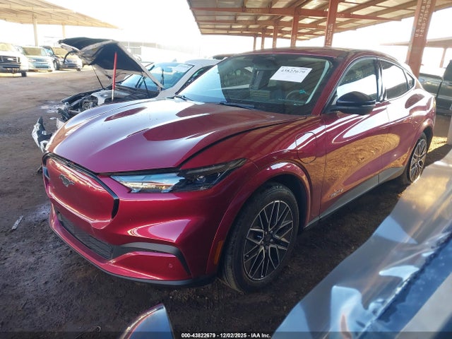 Ford Mustang Mach-e Premium 2025 3FMTK3R72SMA46398 Image 2