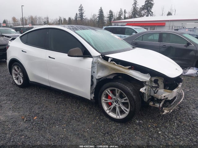 2020 TESLA MODEL Y 5YJYGDEF8LF028010 Photo 0