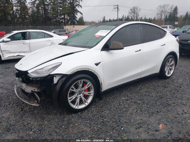 2020 TESLA MODEL Y 5YJYGDEF8LF028010 Photo 1