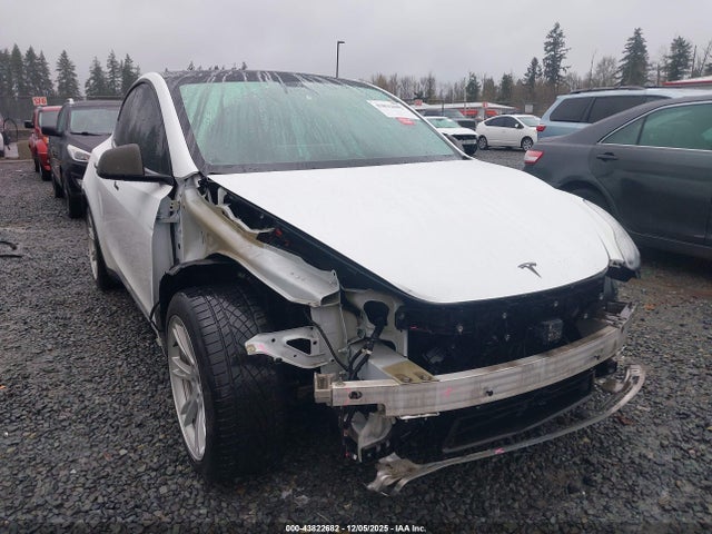 2020 TESLA MODEL Y 5YJYGDEF8LF028010 Photo 5