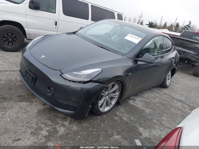 Продажа на аукционе авто 2024 Tesla Model Y Rwd, vin: 7SAYGDED5RF010686, номер лота: 43822851