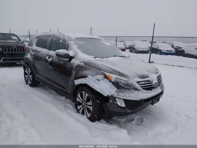 2012 KIA SPORTAGE KNDPC3A23C7184675