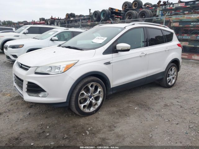 2014 FORD ESCAPE 1FMCU0J99EUA03196 Photo 1