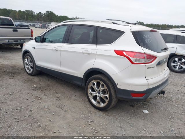 2014 FORD ESCAPE 1FMCU0J99EUA03196 Photo 2