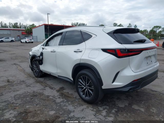 2023 LEXUS NX 250 2T2GDCAZ8PC005296 Photo 2