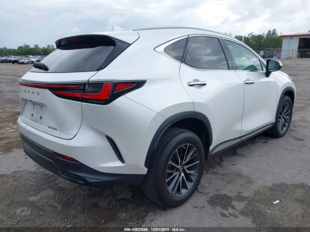 2023 LEXUS NX 250 2T2GDCAZ8PC005296 Photo 3