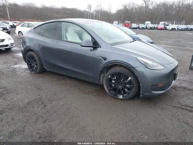 2023 TESLA MODEL Y 7SAYGDEE3PF754504 Photo 0