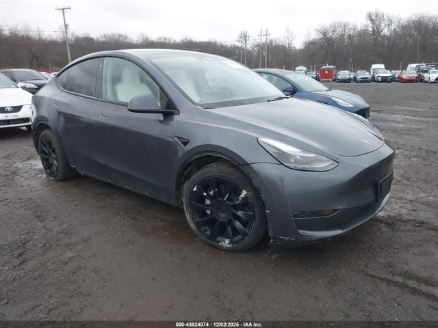 2023 TESLA MODEL Y 7SAYGDEE3PF754504 Photo 5