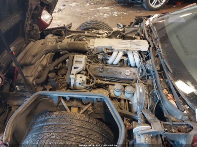 1989 CHEVROLET CORVETTE 1G1YY2180K5121556 Photo 9