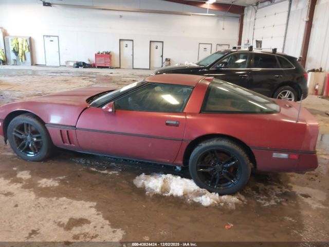 1989 CHEVROLET CORVETTE 1G1YY2180K5121556 Photo 2