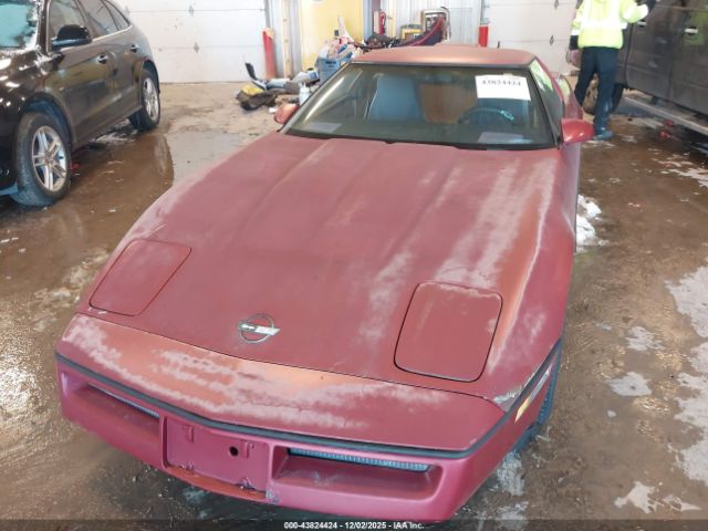 1989 CHEVROLET CORVETTE 1G1YY2180K5121556 Photo 5