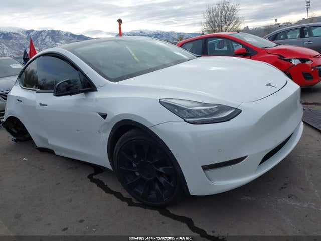 2021 TESLA MODEL Y 5YJYGAEE4MF245254 Photo 0