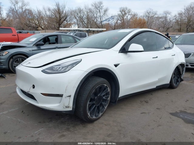 2021 TESLA MODEL Y 5YJYGAEE4MF245254 Photo 1