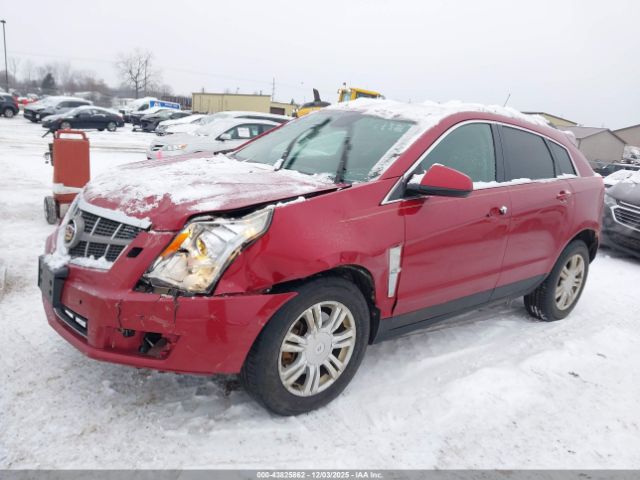 2011 CADILLAC SRX 3GYFNAEY8BS512921 Photo 1