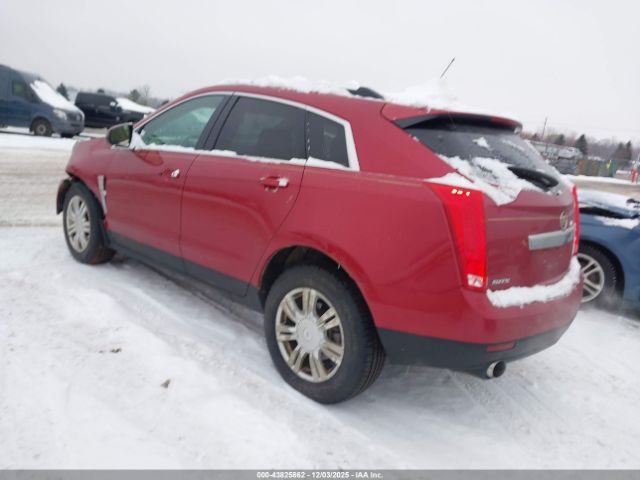 2011 CADILLAC SRX 3GYFNAEY8BS512921 Photo 2