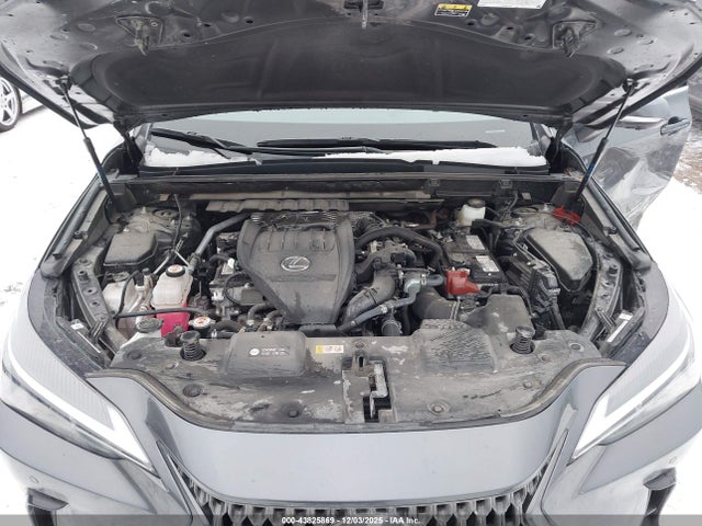 43825869 :رقم المزاد ، 2T2GGCEZ9SC069583 vin ، 2025 Lexus Nx 350 Premium مزاد بيع