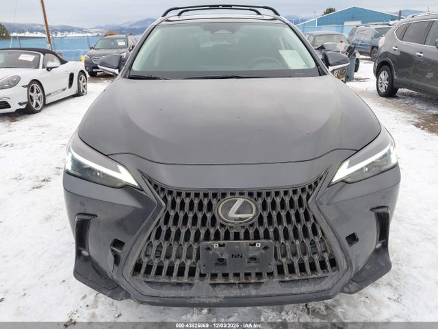 43825869 :رقم المزاد ، 2T2GGCEZ9SC069583 vin ، 2025 Lexus Nx 350 Premium مزاد بيع