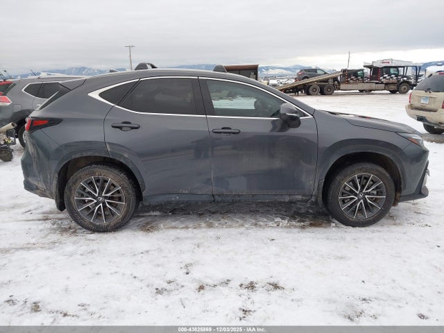 43825869 :رقم المزاد ، 2T2GGCEZ9SC069583 vin ، 2025 Lexus Nx 350 Premium مزاد بيع