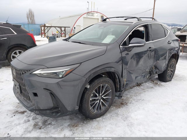 43825869 :رقم المزاد ، 2T2GGCEZ9SC069583 vin ، 2025 Lexus Nx 350 Premium مزاد بيع