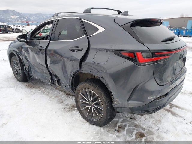 43825869 :رقم المزاد ، 2T2GGCEZ9SC069583 vin ، 2025 Lexus Nx 350 Premium مزاد بيع