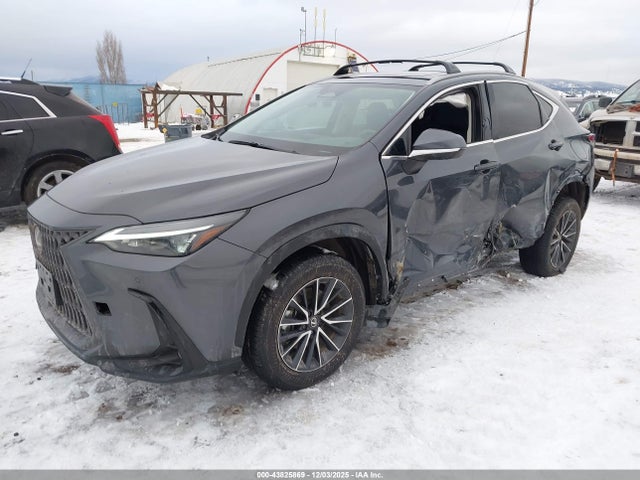 43825869 :رقم المزاد ، 2T2GGCEZ9SC069583 vin ، 2025 Lexus Nx 350 Premium مزاد بيع