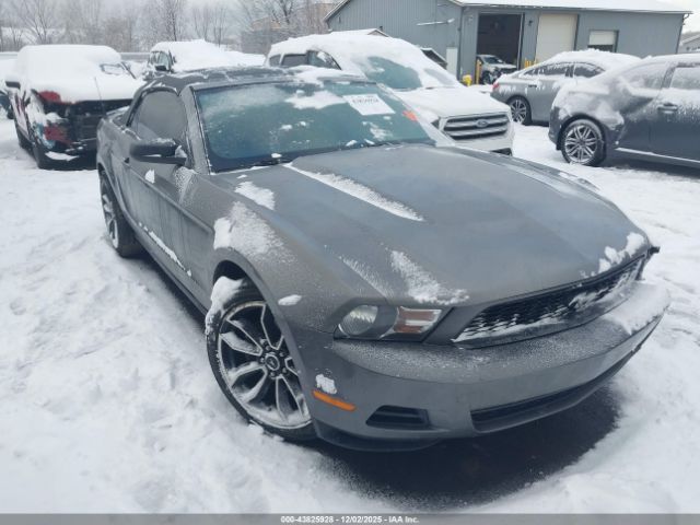 2011 FORD MUSTANG 1ZVBP8EM4B5148492