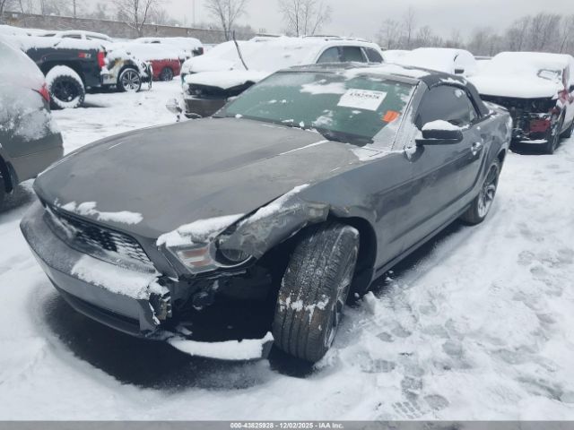 2011 FORD MUSTANG 1ZVBP8EM4B5148492 Photo 1