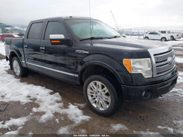 2009 FORD F-150 1FTPW14V99FA29564