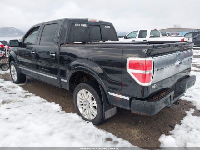 2009 FORD F-150 1FTPW14V99FA29564 Photo 2