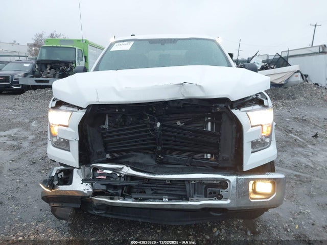 Ford F-150 Xlt 2016 1FTEW1EP0GFC00187 Image 12