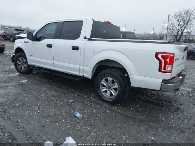 Ford F-150 Xlt 2016 1FTEW1EP0GFC00187 Image 3