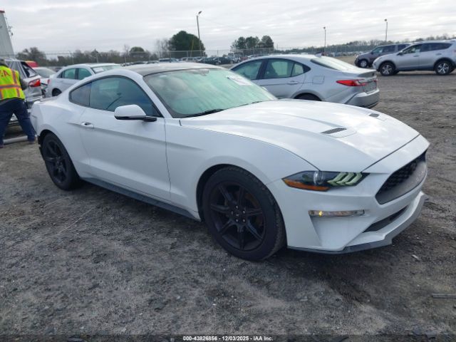2019 FORD MUSTANG 1FA6P8TH6K5112495