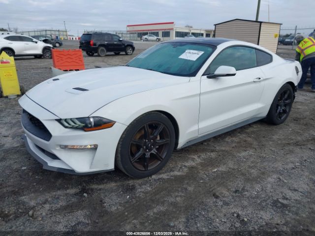 2019 FORD MUSTANG 1FA6P8TH6K5112495 Photo 1