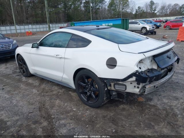 2019 FORD MUSTANG 1FA6P8TH6K5112495 Photo 2
