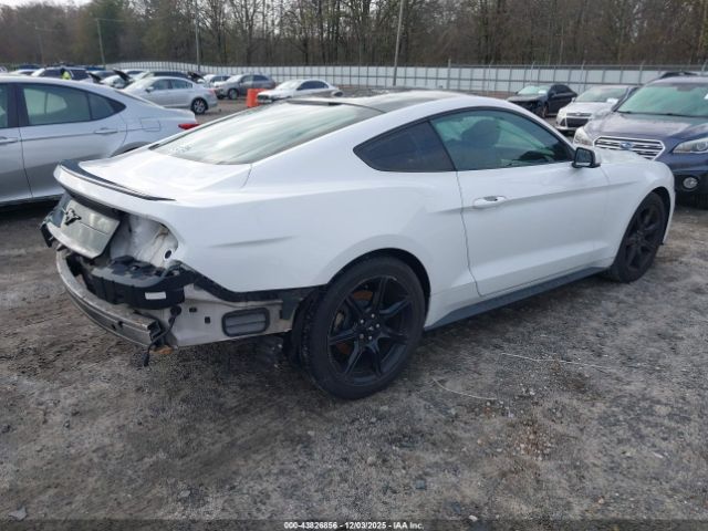 2019 FORD MUSTANG 1FA6P8TH6K5112495 Photo 3