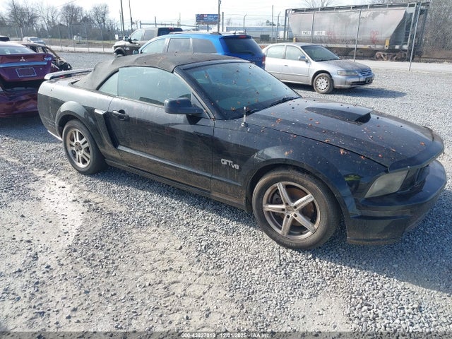 2005 Ford Mustang Gt მანქანა იყიდება აუქციონზე, vin: 1ZVFT85H655183667, აუქციონის ნომერი: 43827019