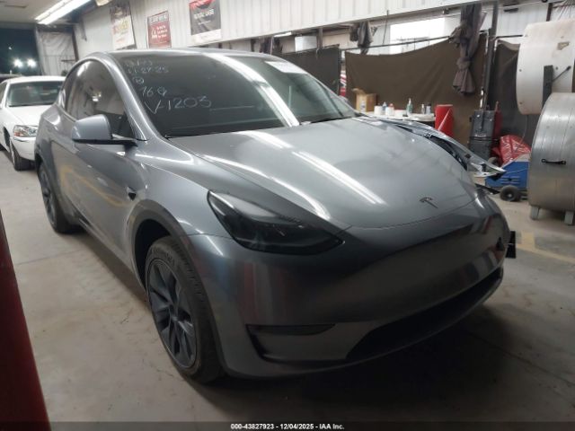 2025 TESLA MODEL Y 7SAYGDED6SF271203