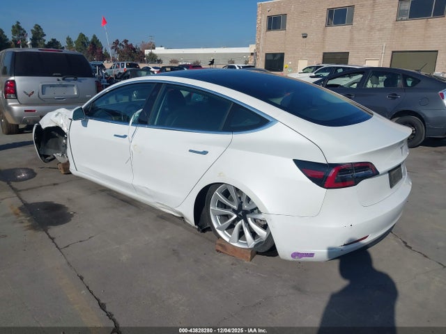 2019 TESLA MODEL 3 5YJ3E1EA5KF317833 Photo 2