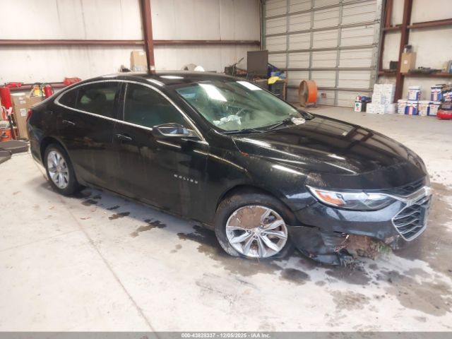 2019 CHEVROLET MALIBU 1G1ZD5ST4KF152565