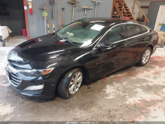 2019 CHEVROLET MALIBU 1G1ZD5ST4KF152565 Photo 1