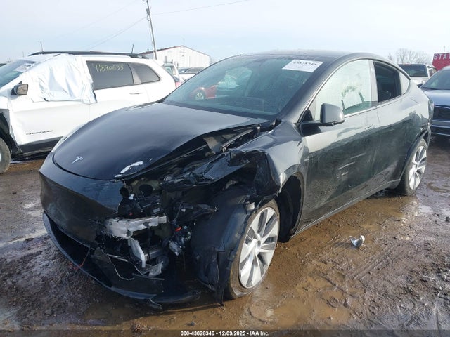 2023 TESLA MODEL Y 7SAYGDEE2PA075837 Photo 1