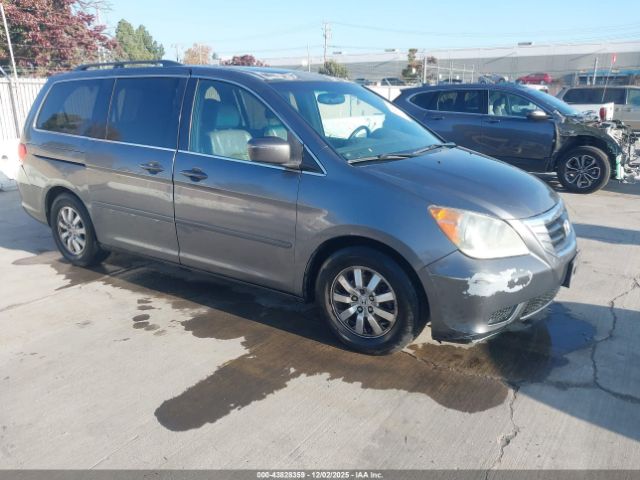2010 HONDA ODYSSEY 5FNRL3H75AB087639