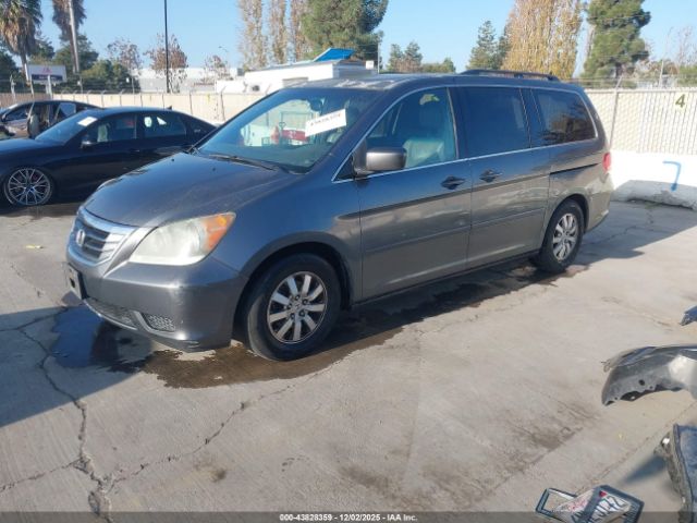 2010 HONDA ODYSSEY 5FNRL3H75AB087639 Photo 1