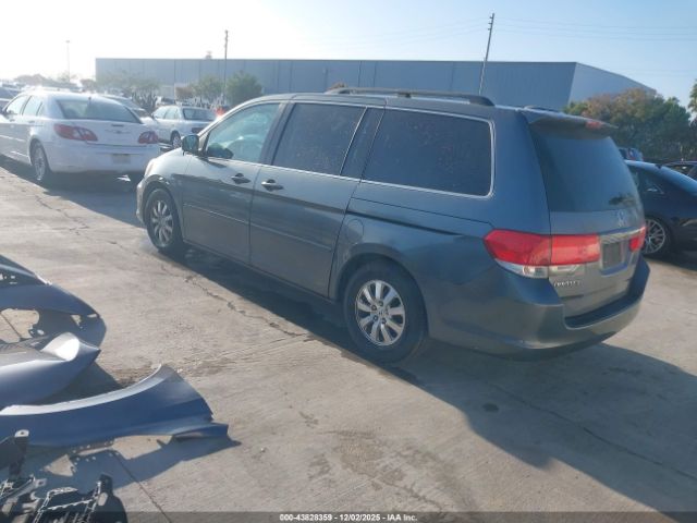 2010 HONDA ODYSSEY 5FNRL3H75AB087639 Photo 2