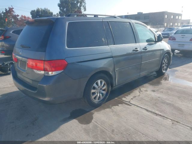 2010 HONDA ODYSSEY 5FNRL3H75AB087639 Photo 3